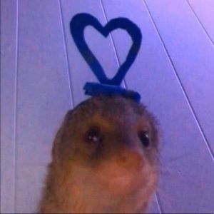 Meet your Posher, Helen